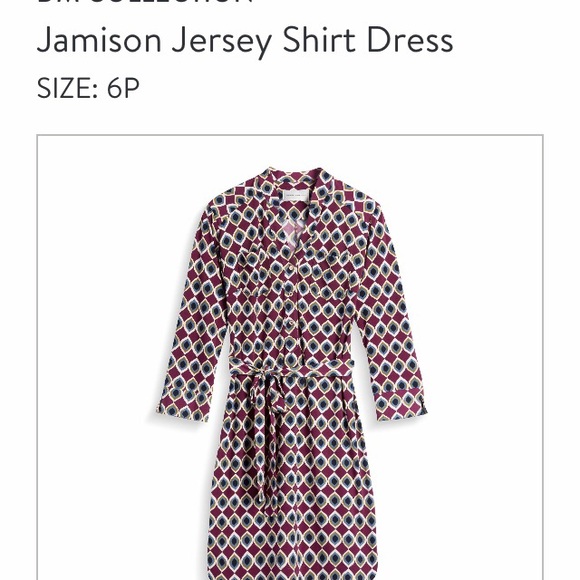 Shirt Dress - Picture 1 of 4